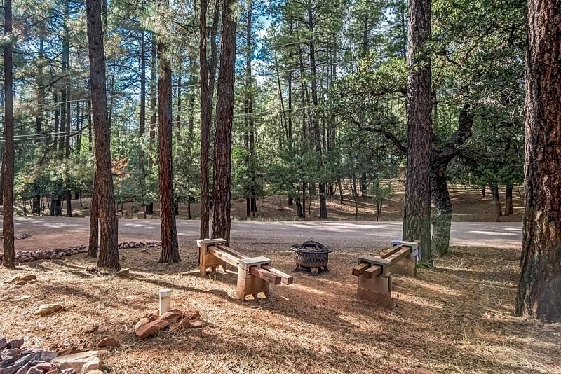 Charming Woodland Retreat in Pine, AZ – Perfect for Nature Lovers & Pet Owners in Pine, Arizona, United States — photo 2