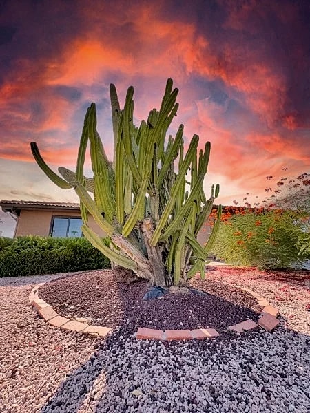 55+ Sun Lakes Special. Newly Remodeled. Amenities Galore! in Sun Lakes, Arizona, United States — photo 3