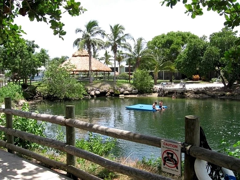 LICENSED MANAGER - MODERN 2/2 COCONUT PALM VILLA - OCEANFRONT BEACH RESORT! in Key Largo, Florida, United States — photo 2