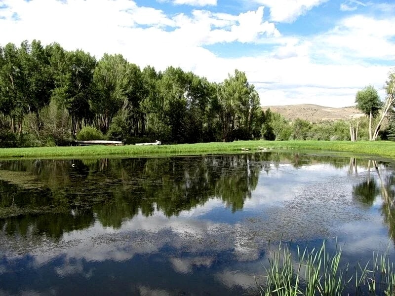 Lg. Gathering place-Privacy 7 bdr, 4.5 bth-Ride your 4 wheeler-BLM from our home in Gunnison, Colorado, United States — photo 3