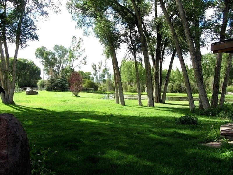 Lg. Gathering place-Privacy 7 bdr, 4.5 bth-Ride your 4 wheeler-BLM from our home in Gunnison, Colorado, United States — photo 5