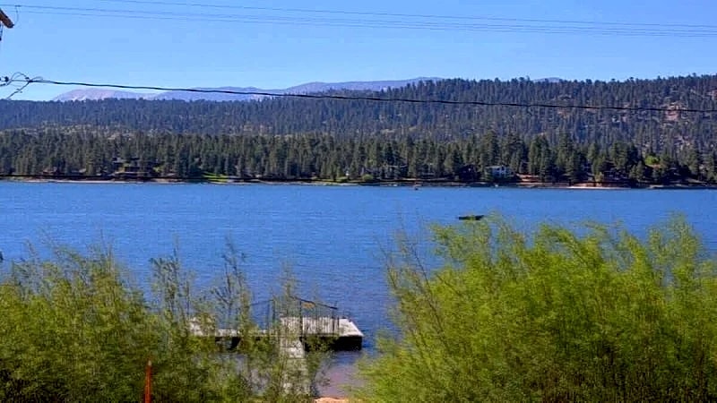Lakefront w/Dock (No Wifi/TV) - FeatherNest - Fawnskin