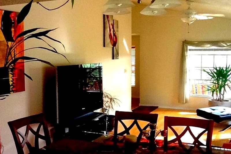 TreeHouse in Tampa in Tampa, Florida, United States — photo 5