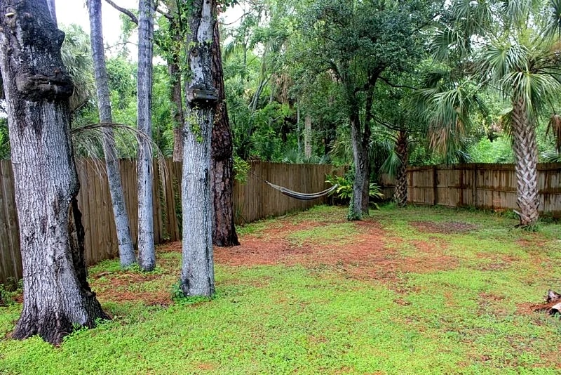 Relax and Enjoy your Visit to Tampa in the Tropical Pool House! in Tampa, Florida, United States — photo 5