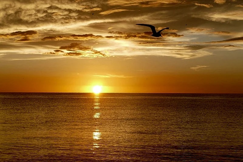 Charming 2 Bed South End Seawinds #1104 Beachfront Condo at Popular Seawinds in Marco Island, Florida, United States — photo 4