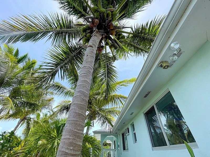 Villa Pure Serenity - Near Grace Bay Beach - Newly Remodelled in Leeward Settlement, Caicos Islands, Turks And Caicos Islands — photo 5