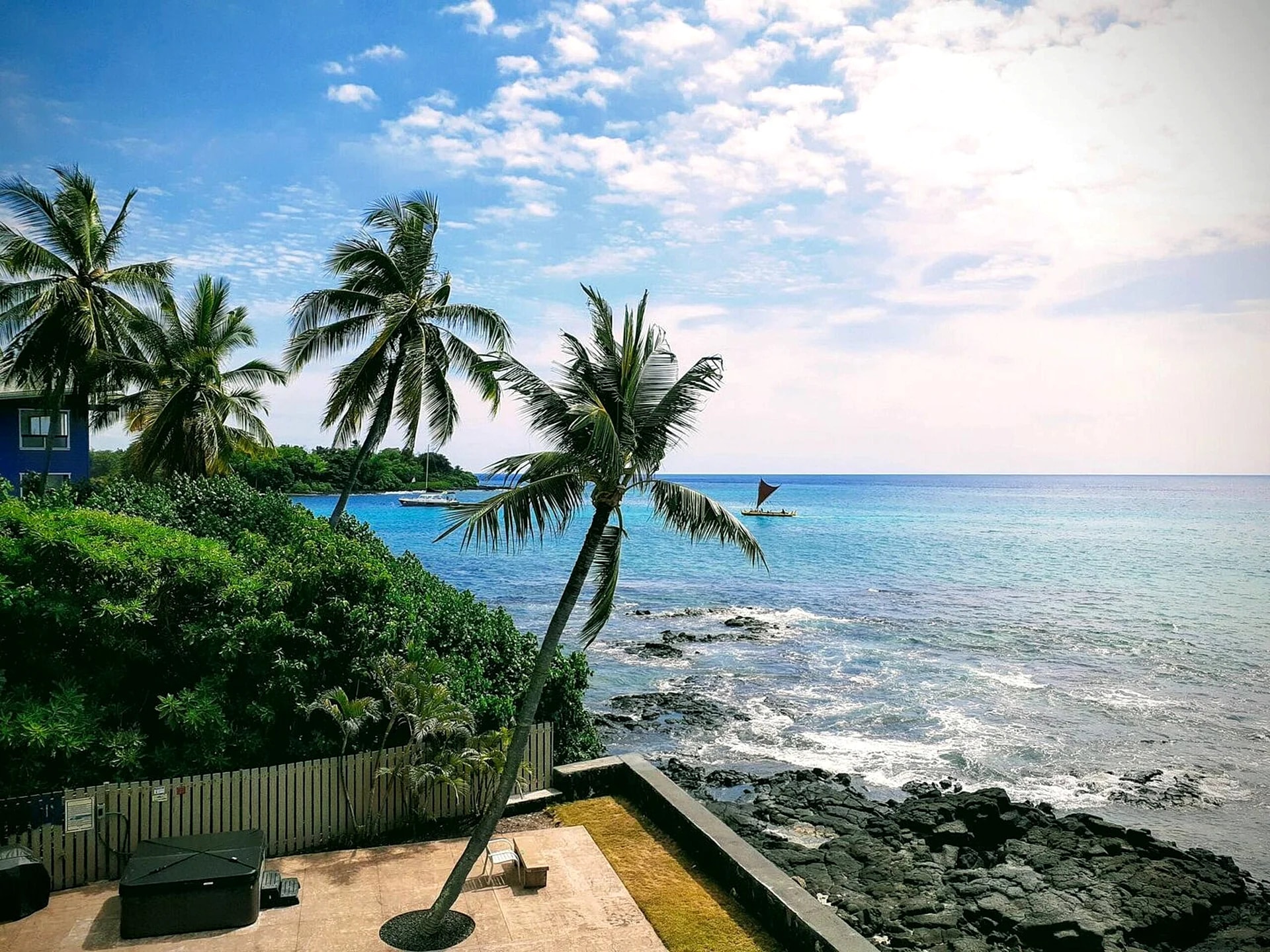 Banyan Tree 304 - Oceanfront Kona Condo with Views