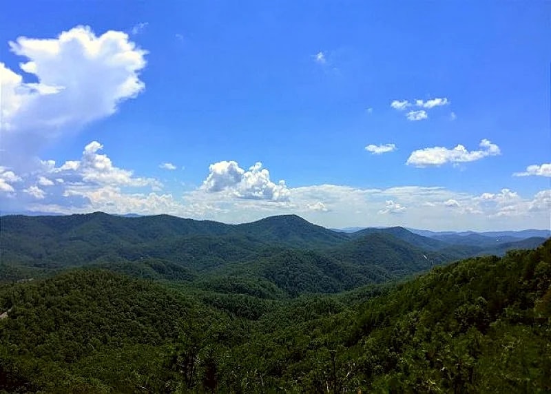 WHERE EAGLES FLY in Pigeon Forge, Tennessee, United States — photo 3