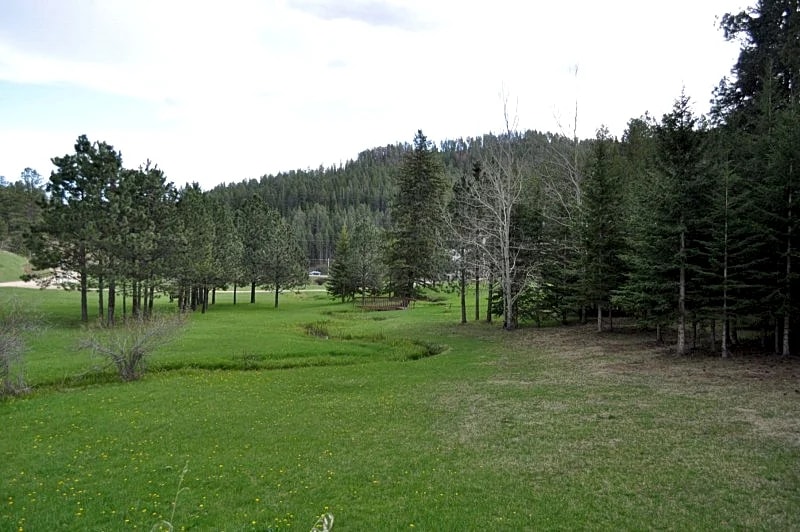 Chase`s Cabin by the Creek | Spacious 4-Bed, 2 Bath Ranch in Lead, South Dakota, United States — photo 4