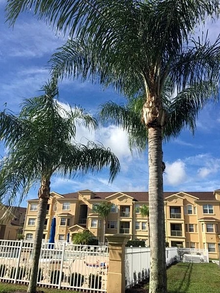 Beautiful 3 Bed 2 Bath Luxury Poolside Condo in Davenport, Florida, United States — photo 2