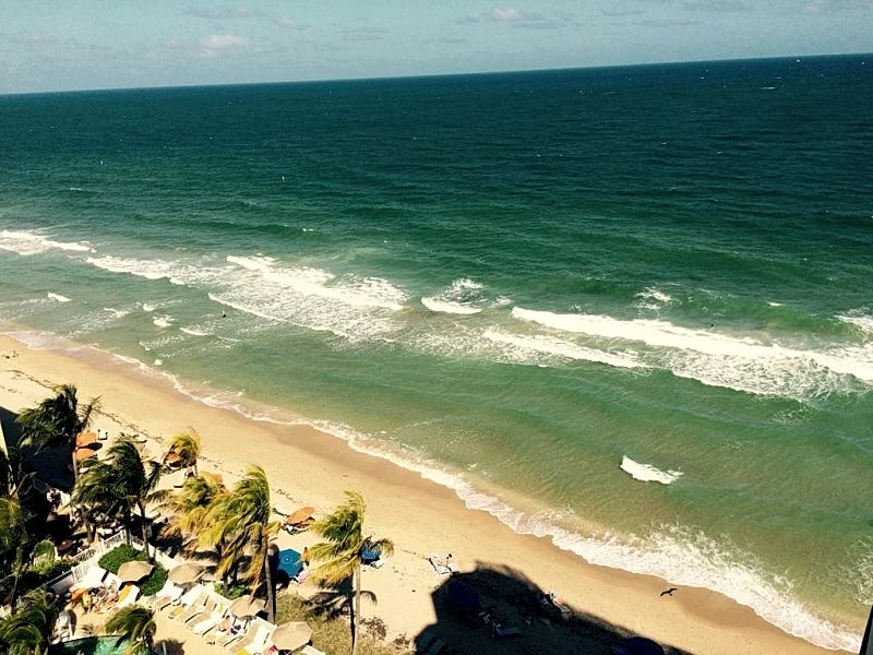 Spectacular Waterfront - Pelican Grand Beach Resort! Special rates BOOK TODAY! in Fort Lauderdale, Florida, United States — photo 3