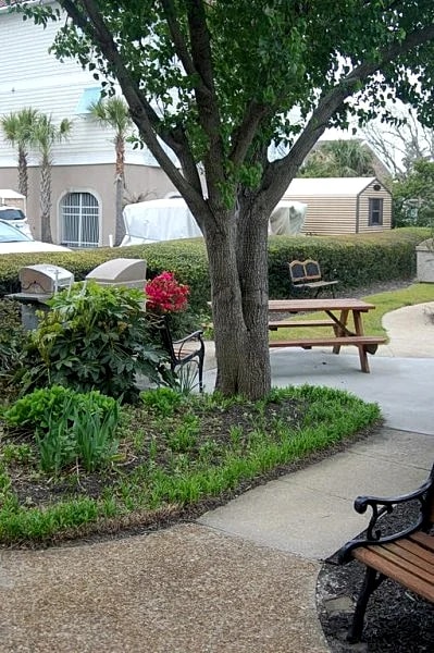 Enjoy a Quiet Stay at Our Place! We'd love to host you! Central Location in Myrtle Beach, South Carolina, United States — photo 2