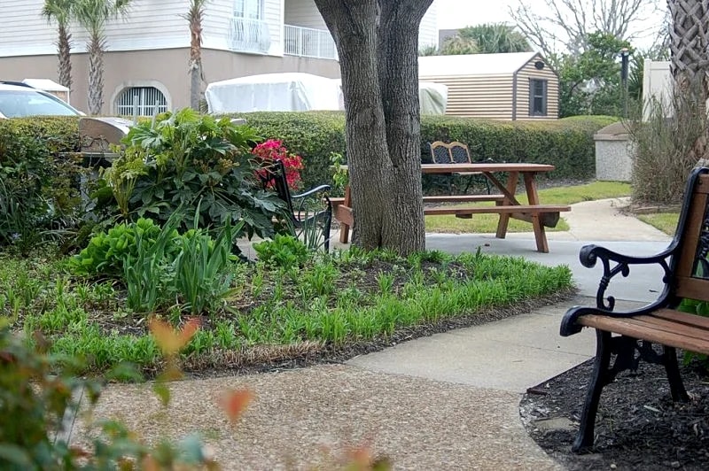 Relax in our Tranquil Retreat! 1 block to beach! in Myrtle Beach, South Carolina, United States — photo 3