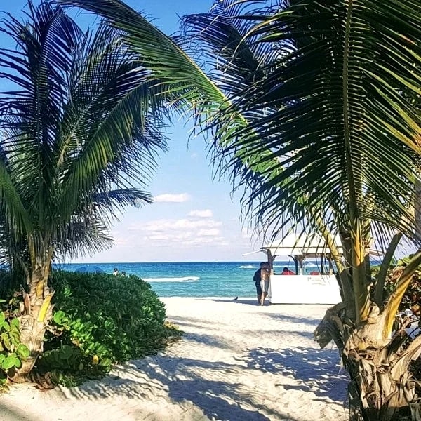 OCEANFRONT Renovated Luxury apt at the Alexander - Stay on the Beach in Miami, Florida, United States — photo 5