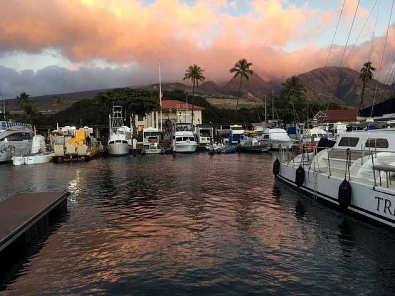 Island living at its best!! 24-4 in Maui County, Hawaii, United States — photo 5