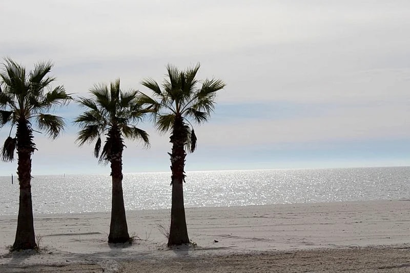 Pretty Condo, Newly Decorated, Perfect for TDY & Beach Visitors! in Biloxi, Mississippi, United States — photo 5