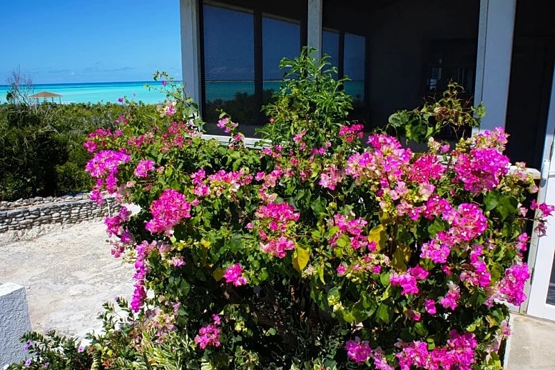 Secluded & Quiet Beachfront Home w/ Beautiful View on Lochabar Bay. Family fun! in Clarence Town, Long Island, Bahamas — photo 4