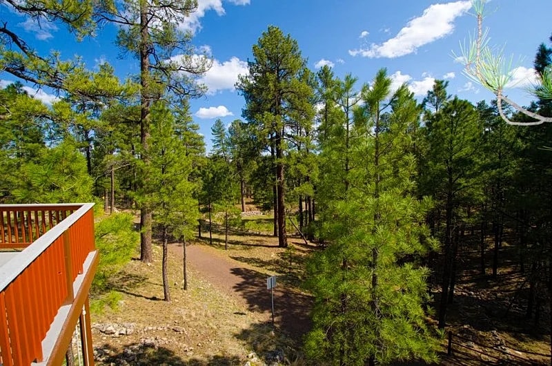 Luxury Retreat w/ Forest Views & Hot Tub! Newly renovated with high-end finishes in Flagstaff, Arizona, United States — photo 3