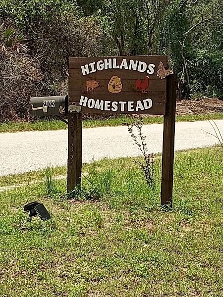 This old Florida feeling getaway is 420 friendly and a great place to just relax in Avon Park, Florida, United States — photo 3