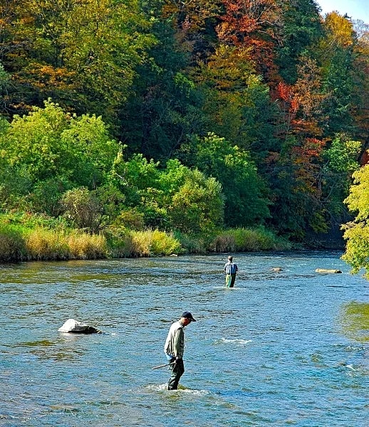 RIVER FRONT, 1-Acre, Hot Tub, NEW Home, NEAR UNIVERSITY and GREEN BLUFF