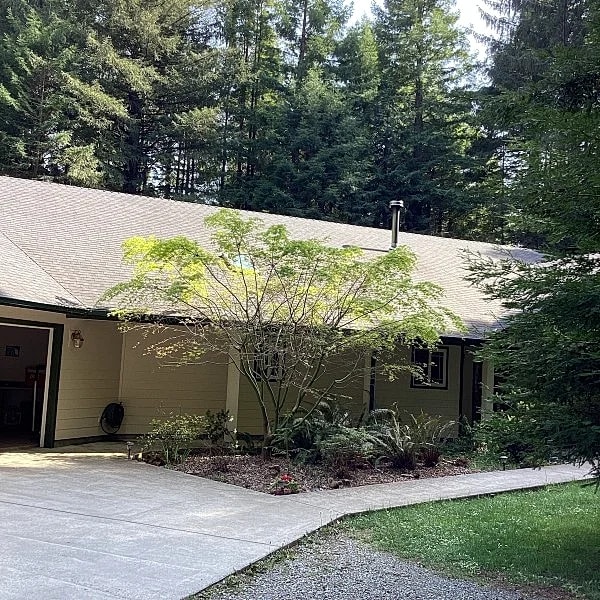 Picturesque forest homes in Crescent City, California, United States — photo 5
