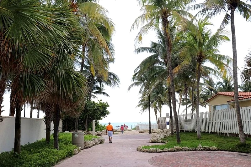 Urban Oasis close Fort Lauderdale Beach Florida