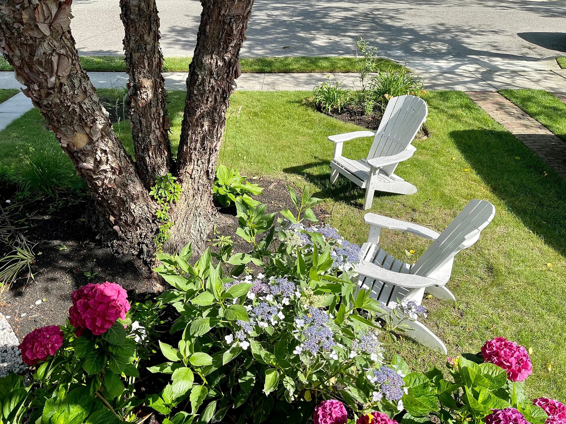 Cape May Classic - 3 block Stroll to the Beach in Cape May, New Jersey, United States — photo 4