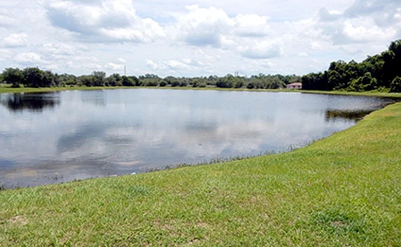 RRD1904 - Sandy Ridge - 3 Bed 3 Baths Villa in Davenport, Florida, United States — photo 4