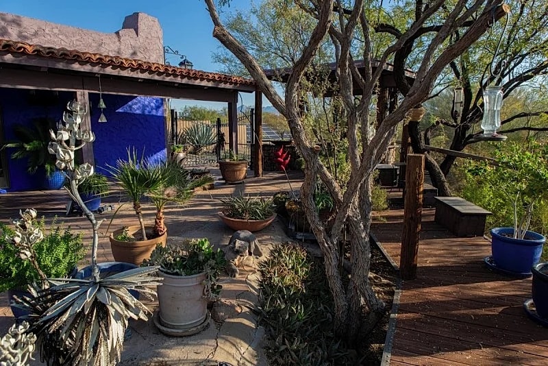 More "Custom" than Custom ... 10 Acres; A Treasure for Birders in Tubac, Arizona, United States — photo 4
