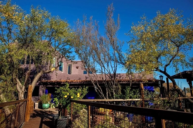 More "Custom" than Custom ... 10 Acres; A Treasure for Birders in Tubac, Arizona, United States — photo 5