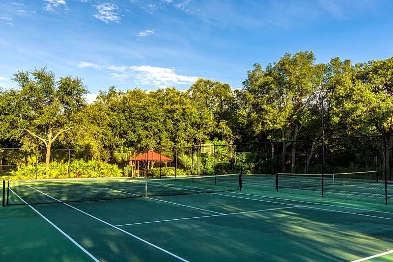 Spacious and Beautiful, South Facing Pool Spa, 3 miles to Disney, Key Less Entry in Orlando, Florida, United States — photo 4
