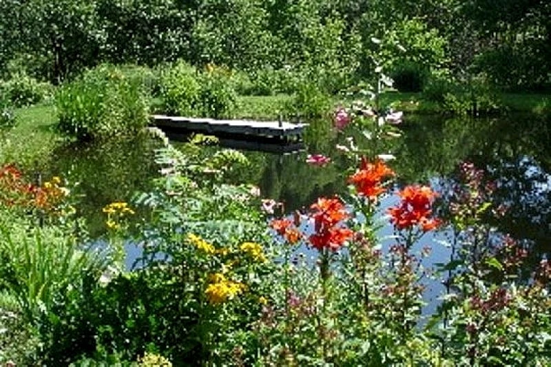 Charming & Private, 4-Season *Custom-Designed Guest Cottage in Moretown, Vermont, United States — photo 5
