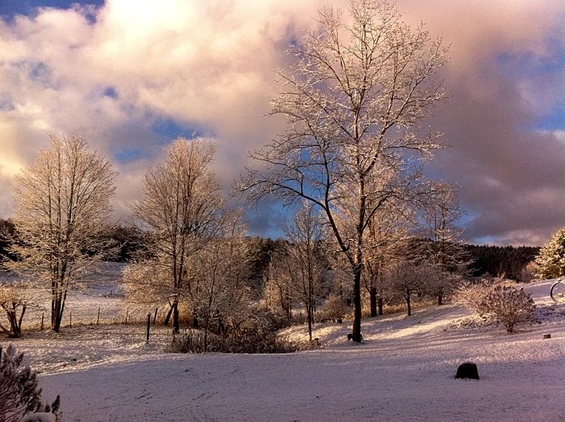 Charming & Private, 4-Season *Custom-Designed Guest Cottage in Moretown, Vermont, United States — photo 3
