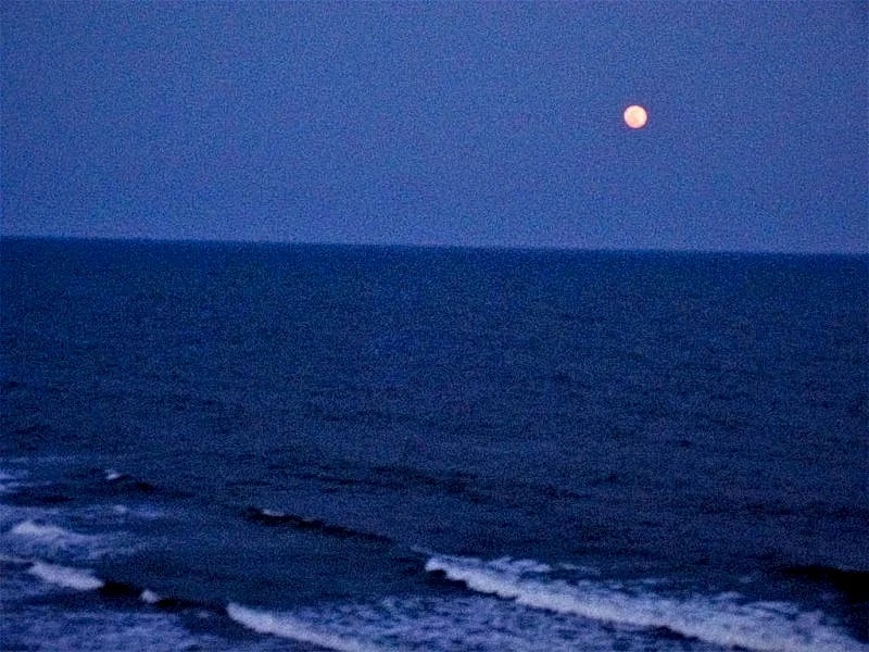 Direct Waterfront N Myrtle Beach - 2 King Beds in North Myrtle Beach, South Carolina, United States — photo 2