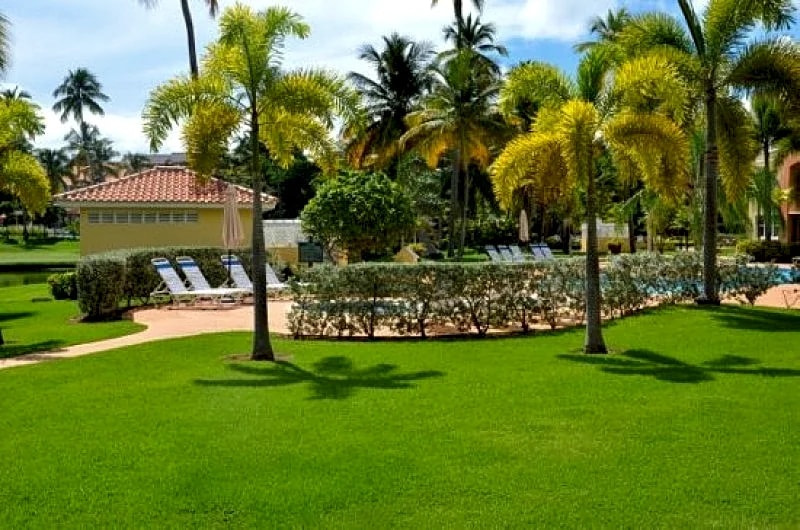 Palmas Doradas Beach Front Studio Apartment at Palmas del Mar Resort