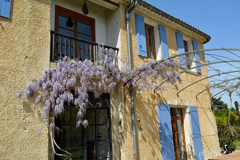 Mas La Vitalis, L'Isle Sur La Sorgue. Holiday Rentals & B&B in L'Isle Sur La Sorgue, Cavaillon, France — photo 3