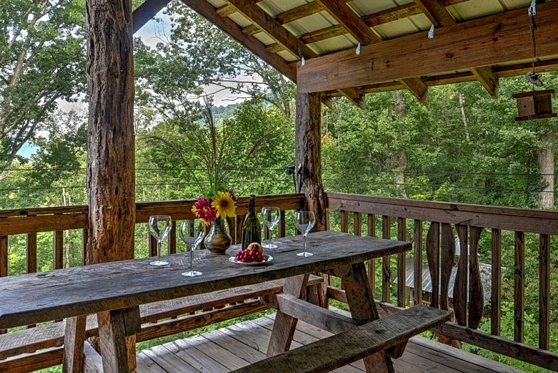 Enchanting, Family-Friendly, Outdoor Activities, Fire Pit, Indoor Slide in Asheville, North Carolina, United States — photo 5