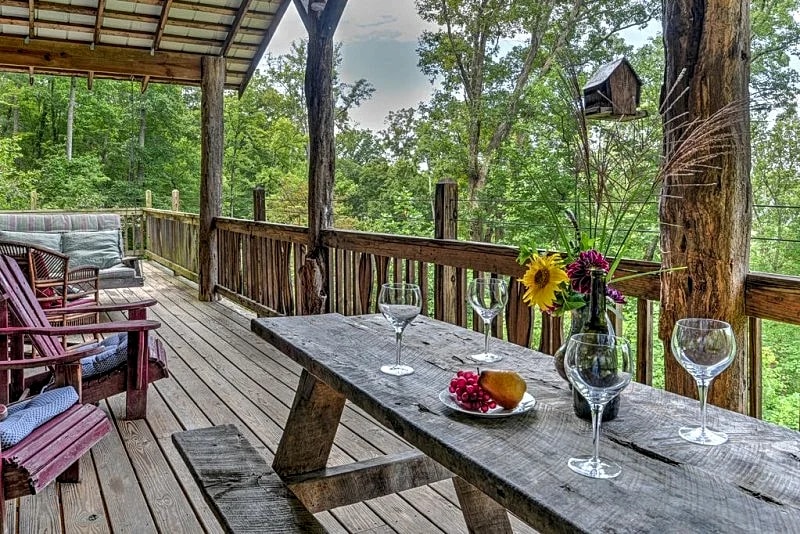 Enchanting, Family-Friendly, Outdoor Activities, Fire Pit, Indoor Slide in Asheville, North Carolina, United States — photo 3