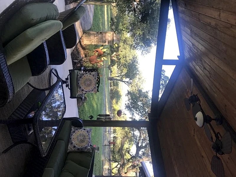 RR Cottage “A little bit of heaven” in Fischer, Texas, United States — photo 3