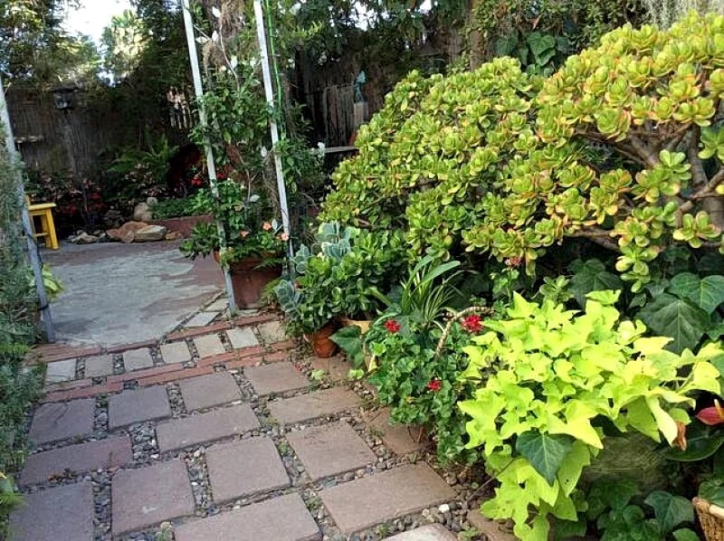 Romantic Private Garden Studio Near Downtown in San Diego, California, United States — photo 3