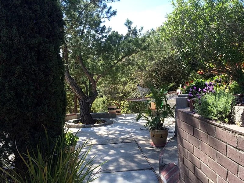 Guest House Suite - Serene Setting - Pet Friendly - Clean & Homey !! in Saratoga, California, United States — photo 4