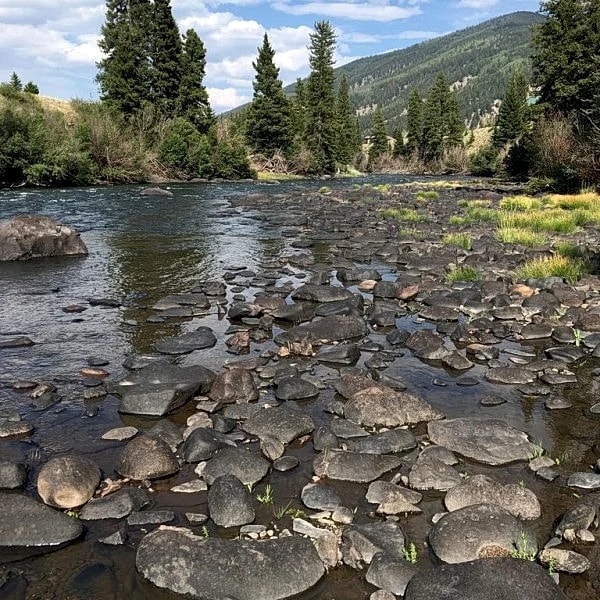 Log Cabin on Rio Grande River 4BR-2BA in Creede, Colorado, United States — photo 5