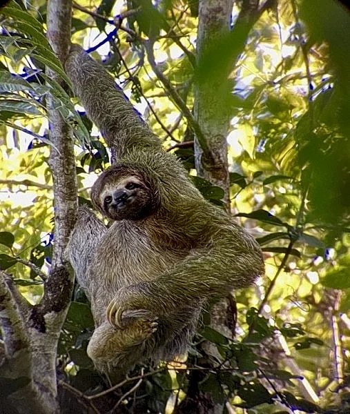 Costa Rican getaway has it all! Super low introductory rates! in Manuel Antonio, Puntarenas Province, Costa Rica — photo 4
