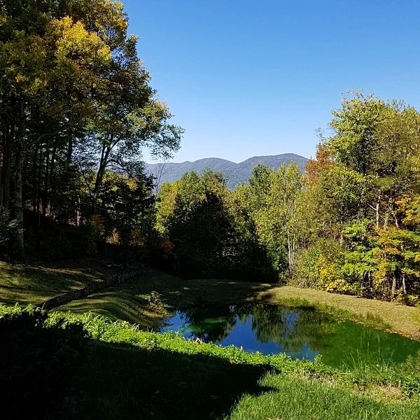 Smoky Mountain Get-away in Waynesville, North Carolina, United States — photo 4