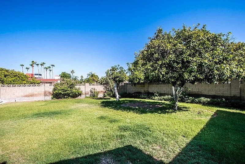 Mid Century Modern Mesa Home with Pool!!! in Mesa, Arizona, United States — photo 3