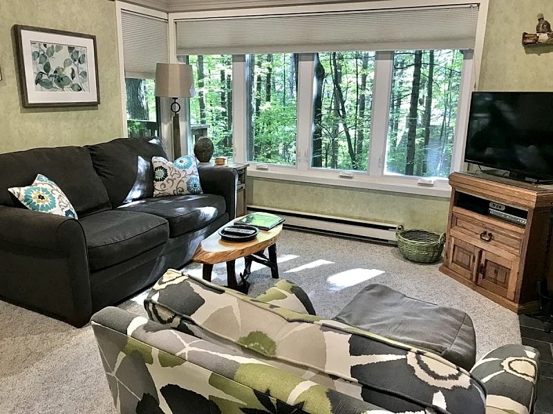Chic and Cozy Condo in Glen Arbor, Michigan, United States — photo 1