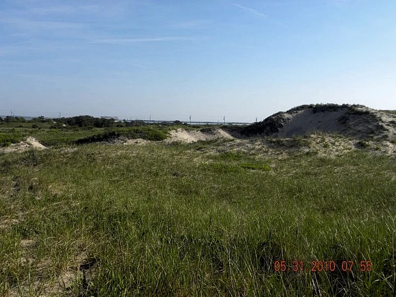 Hampton's Beach House With Dunes, Views & Ambiance! Ocean & Bay Beaches! in Amagansett, New York, United States — photo 2