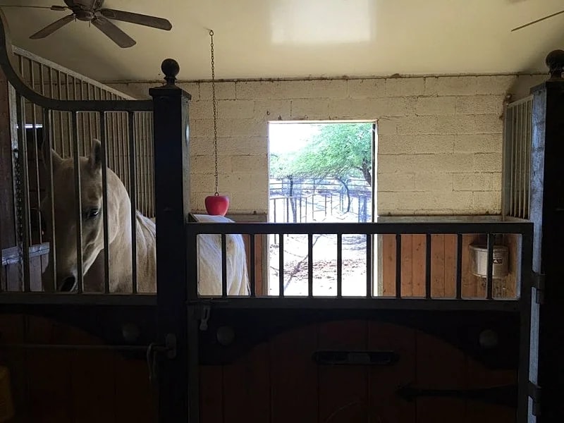 NE Scottsdale - 2 Bedrooms - Gated Country Estate on 3 Acres in Scottsdale, Arizona, United States — photo 5