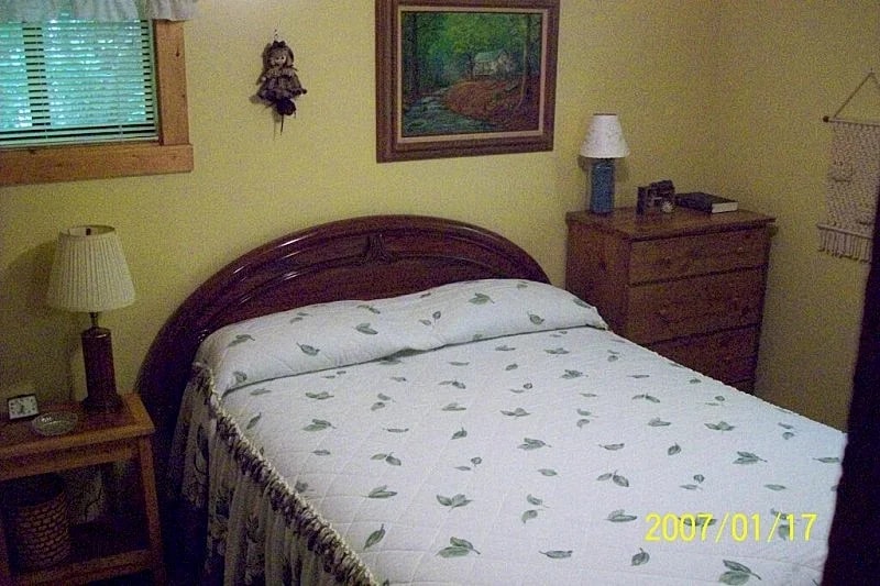 Sanitized! Creekside Cottage sits over Creek Woods, Looking into Park! Pets OK in Cosby, Tennessee, United States — photo 3