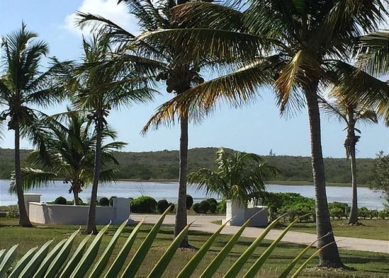 Secluded Beachfront Estate, 9 Acres & 725' of Private Frontage NEW HTD POOL! in Eleuthera, Bahamas — photo 3